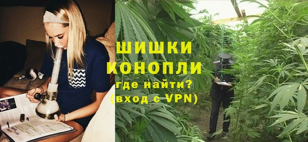 сатива Надым