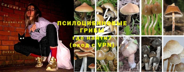 альфа пвп Нефтегорск