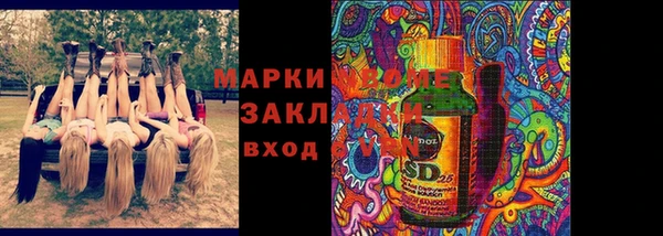 сатива Надым
