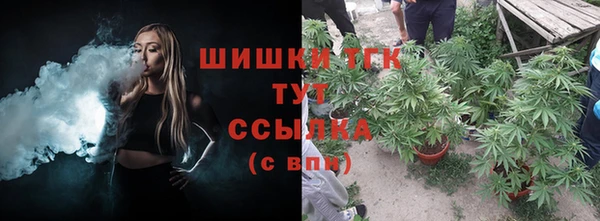 дживик Нея
